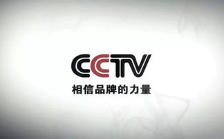 雷軍 努力工作，克制貪婪——數字廣告時代的智慧箴言